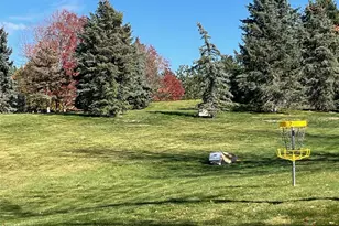 6434 Silver Mesa Dr, Highlands Ranch, CO 80130 - Photo 37