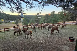 22901 Pinecrest Rd, Golden, CO 80401 - Photo 35