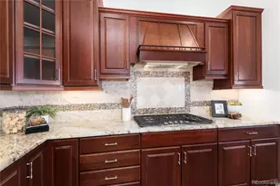 10698 Mountaingate Ct, Highlands Ranch, CO 80126 - Photo 15