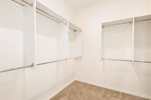 10698 Mountaingate Ct, Highlands Ranch, CO 80126 - Photo 25