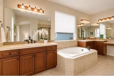 2909 Dreamcatcher Loop, Castle Rock, CO 80109 - Photo 21