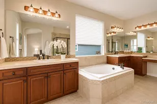 2909 Dreamcatcher Loop, Castle Rock, CO 80109 - Photo 21