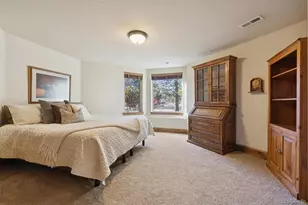 5094 Ten Mile Pl, Castle Rock, CO 80108 - Photo 27