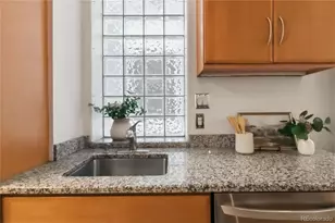 960 N Ogden St, Denver, CO 80218 - Photo 19