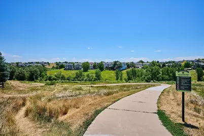 10284 Charissglen Circle, Highlands Ranch, CO 80126 - Photo 47