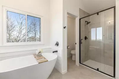 9648 Bellmore Place, Highlands Ranch, CO 80126 - Photo 23