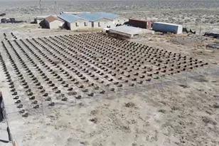 61997 Co Rd G, Center, CO 81125 - Photo 5