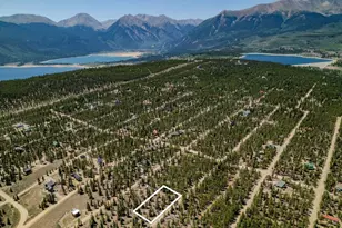 124 Fir Dr, Twin Lakes, CO 81251 - Photo 1