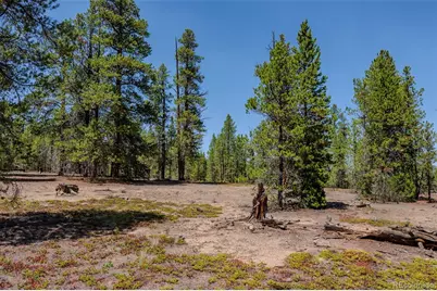 124 Fir Drive, Twin Lakes, CO 81251 - Photo 7