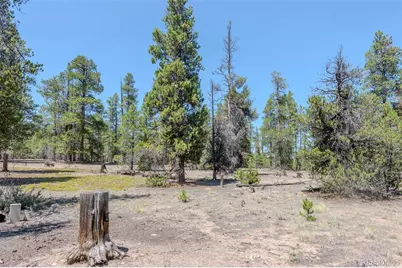 124 Fir Drive, Twin Lakes, CO 81251 - Photo 11