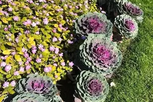 605 S Alton Way, Denver, CO 80247 - Photo 47