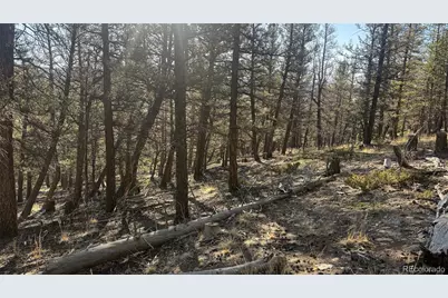 3132 Middle Fork Vista, Fairplay, CO 80440 - Photo 17