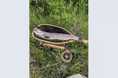 3132 Middle Fork Vista, Fairplay, CO 80440 - Photo 7