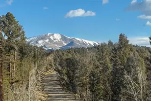 3132 Middle Fork Vista, Fairplay, CO 80440 - Photo 1