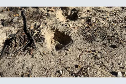 3132 Middle Fork Vista, Fairplay, CO 80440 - Photo 13