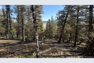 3132 Middle Fork Vista, Fairplay, CO 80440 - Photo 19