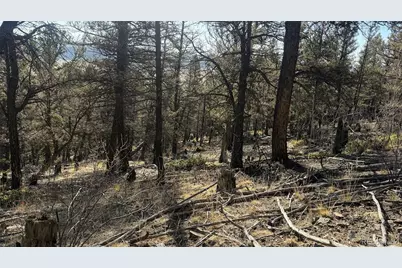 3132 Middle Fork Vista, Fairplay, CO 80440 - Photo 21