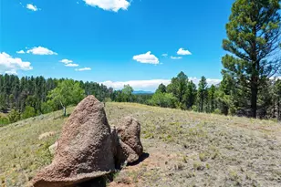 404 Morning Star Creek Trail, Florissant, CO 80816 - Photo 1