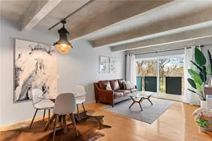 1265 N Race St, Denver, CO 80206 - Photo 1