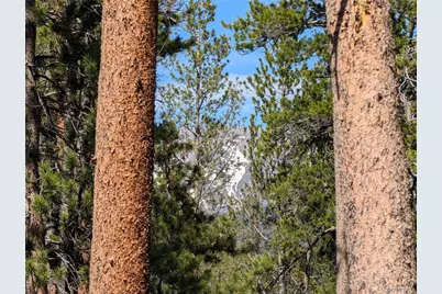 495 Birch Drive, Twin Lakes, CO 81251 - Photo 15