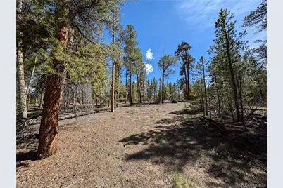 495 Birch Drive, Twin Lakes, CO 81251 - Photo 11