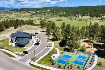 16318 Monument Rock Court, Monument, CO 80132 - Photo 33
