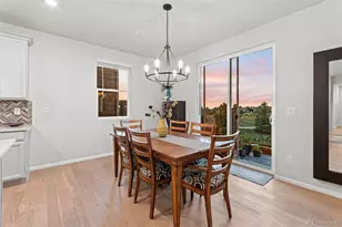 4103 S Nepal Cir, Aurora, CO 80013 - Photo 21