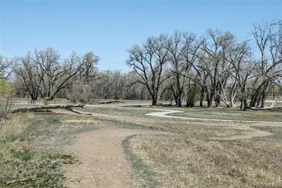 9106 Clermont Drive, Thornton, CO 80229 - Photo 31