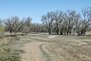 9106 Clermont Dr, Thornton, CO 80229 - Photo 31