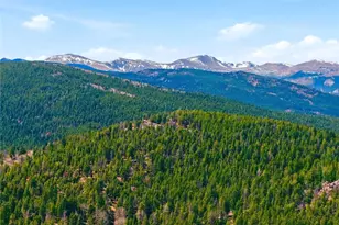 6928 Weasel Way, Evergreen, CO 80439 - Photo 43