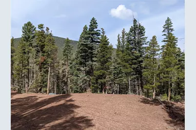 3331 Purnell Lane, Fort Garland, CO 81133 - Photo 3