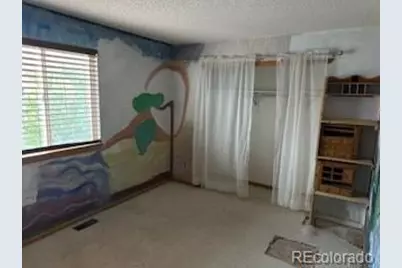 4372 E Andover Avenue, Castle Rock, CO 80104 - Photo 17