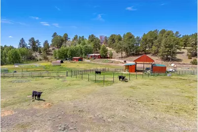 242 Poplar Lane, Guffey, CO 80820 - Photo 13