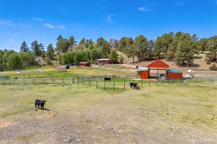 242 Poplar Ln, Guffey, CO 80820 - Photo 13