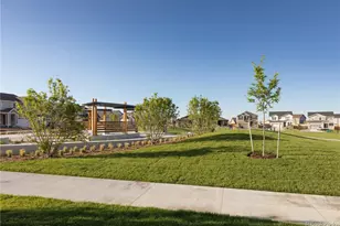 327 N Bently St, Watkins, CO 80137 - Photo 39