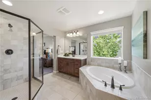 3177 Starry Night Loop, Castle Rock, CO 80109 - Photo 25