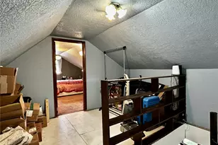 413 W 3rd St, Leadville, CO 80461 - Photo 19