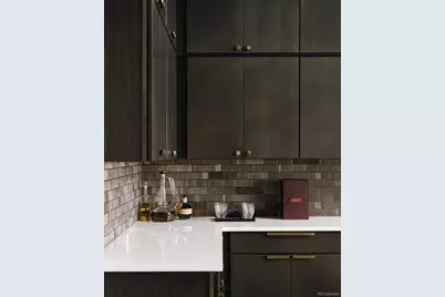 6488 Braylin Lane, Castle Pines, CO 80108 - Photo 19