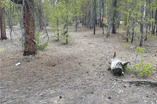 340 Peak View Dr, Leadville, CO 80461 - Photo 1