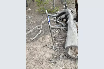 340 Peak View Drive, Leadville, CO 80461 - Photo 3