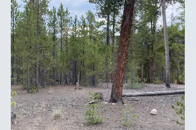 340 Peak View Drive, Twin Lakes, CO 80461 - Photo 7