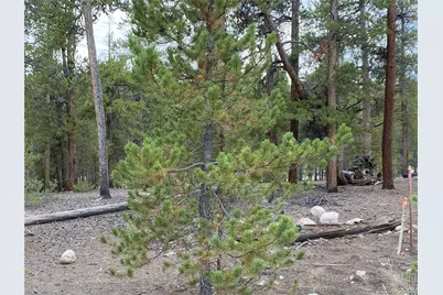 340 Peak View Drive, Twin Lakes, CO 80461 - Photo 9