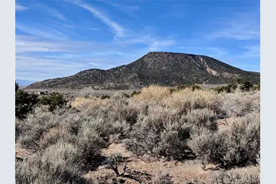 Lot 663 Slegers Road, Fort Garland, CO 81133 - Photo 7