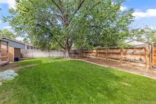 11731 Jackson St, Denver, CO 80233 - Photo 23