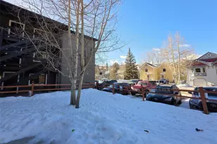 214 S Harris St, Breckenridge, CO 80424 - Photo 21