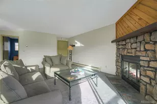 9825 Ryan Gulch Rd, Silverthorne, CO 80498 - Photo 5