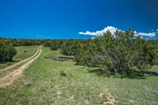 324 Chaps Ct, Walsenburg, CO 81089 - Photo 37