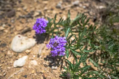 324 Chaps Court, Walsenburg, CO 81089 - Photo 35