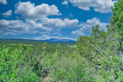 324 Chaps Court, Walsenburg, CO 81089 - Photo 31