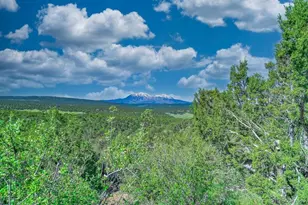 324 Chaps Ct, Walsenburg, CO 81089 - Photo 31